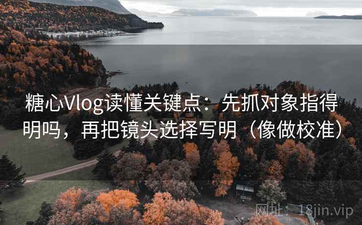 糖心Vlog读懂关键点：先抓对象指得明吗，再把镜头选择写明（像做校准）
