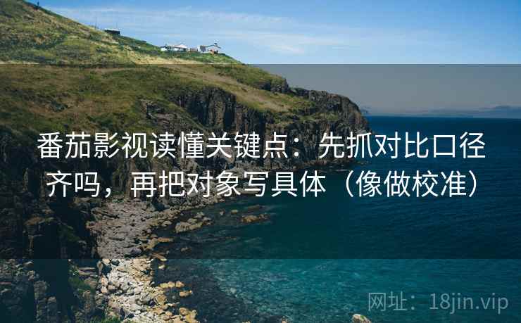 番茄影视读懂关键点:先抓对比口径齐吗,再把对象写具体(像做校准) 番茄影视读懂关键点:先抓对比口径齐吗,再把对象写具体(像做校准)