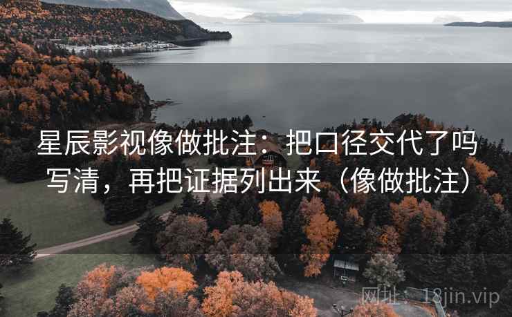 星辰影视像做批注：把口径交代了吗写清，再把证据列出来（像做批注）