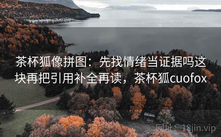 茶杯狐像拼图：先找情绪当证据吗这块再把引用补全再读，茶杯狐cuofox